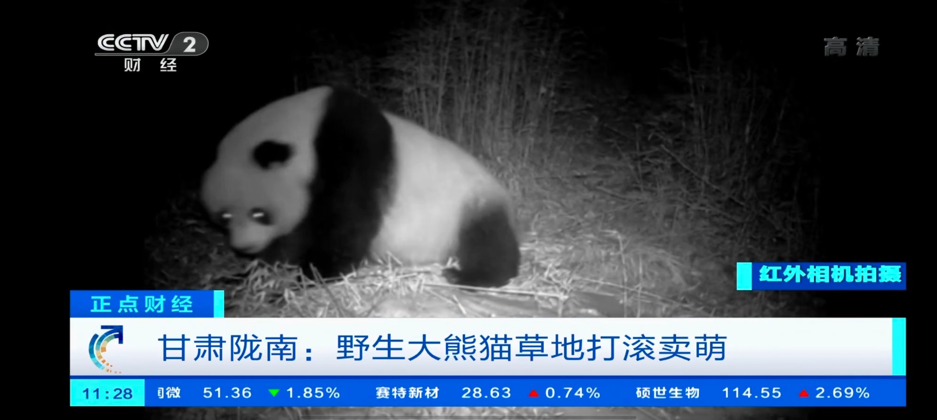 小小TV最新免密版