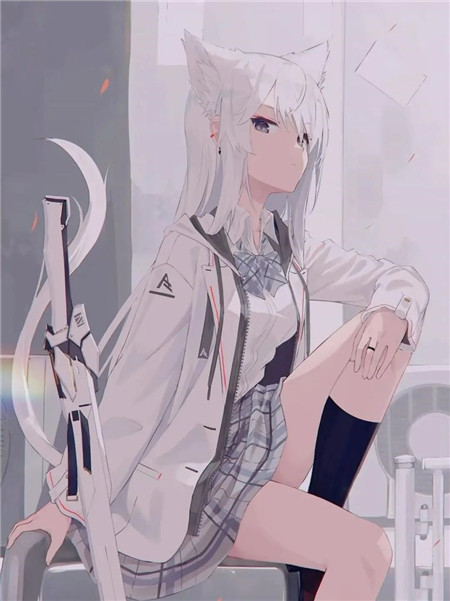  尼姑三姐妹2免费播放电视剧，网友：期待已久的情感盛宴！